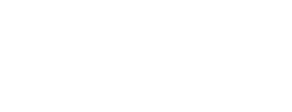 Partner 4